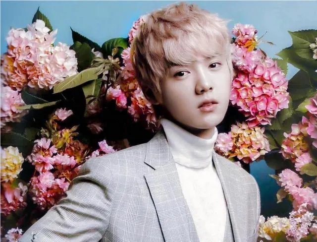 来分享一下关于鹿晗和关晓彤恋情的朋友圈吧？