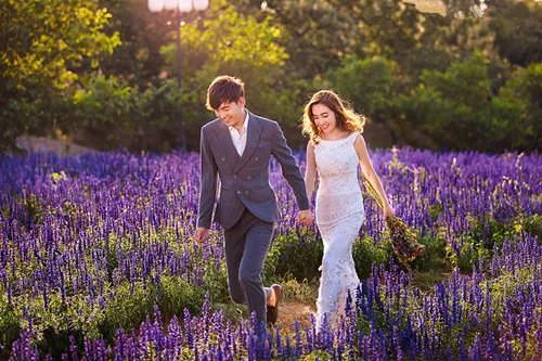 花海婚纱照拍摄攻略 拍摄花海婚纱照注意事项