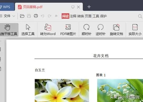 WORD2010如何转换成PDF格式？