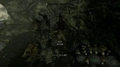 《上古卷轴5》法尔达之牙怎么上塔？