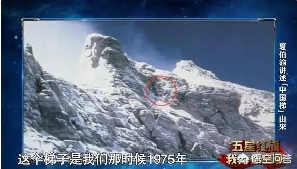 看完2019开学第一课,你有什么感想？对孩子有什么教育意义？