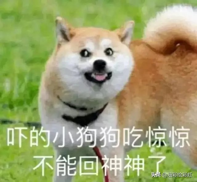 发书法教学视频作者,兴趣选哪个领域好?有何技巧呢?