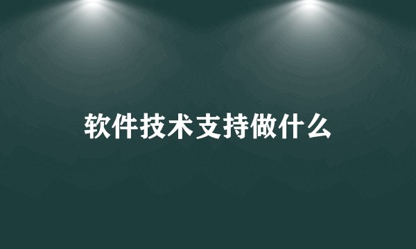 软件技术支持做什么