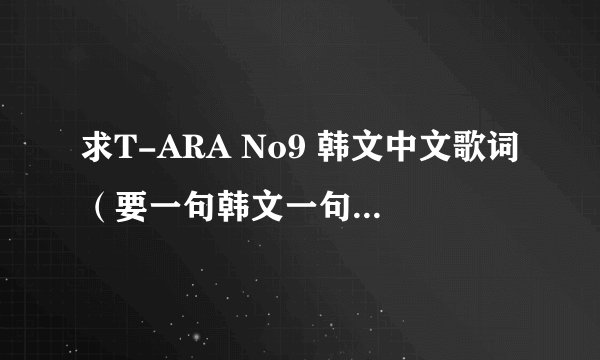 求T-ARA No9 韩文中文歌词（要一句韩文一句中文，一一对应的）