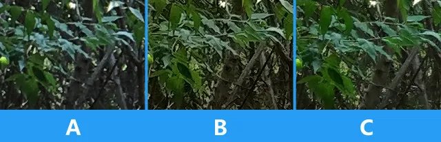 一加3/小米5/iPhone 6sP拍照盲测大比拼