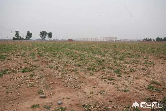 在自己家的耕地上建了一个养殖场，现在说属于违建要拆，该怎么办啊？