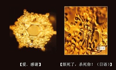 水知道答案是不是伪科学