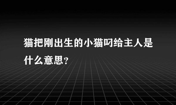 猫把刚出生的小猫叼给主人是什么意思？