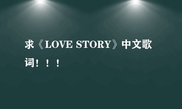 求《LOVE STORY》中文歌词！！！