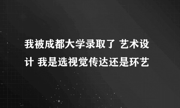 我被成都大学录取了 艺术设计 我是选视觉传达还是环艺