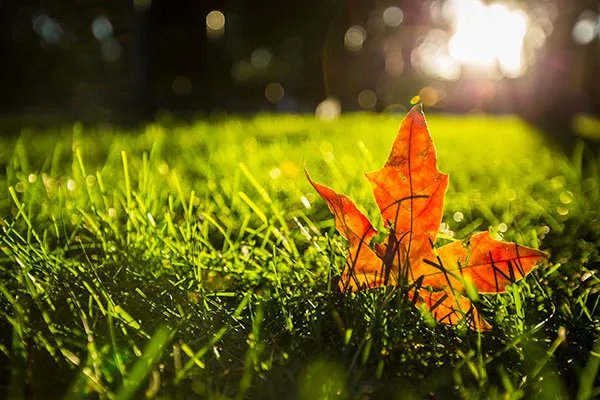 今年什么时候立秋 2019年立秋是几月几日