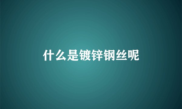 什么是镀锌钢丝呢