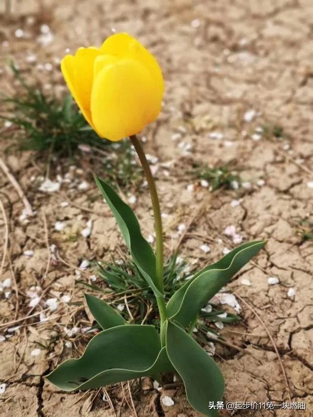 今年五一天津人能跨省旅游吗？
