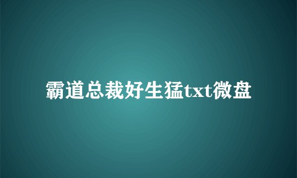 霸道总裁好生猛txt微盘