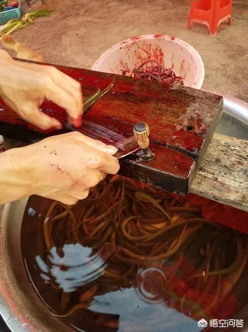 黄鳝头到底能不能吃？为什么？