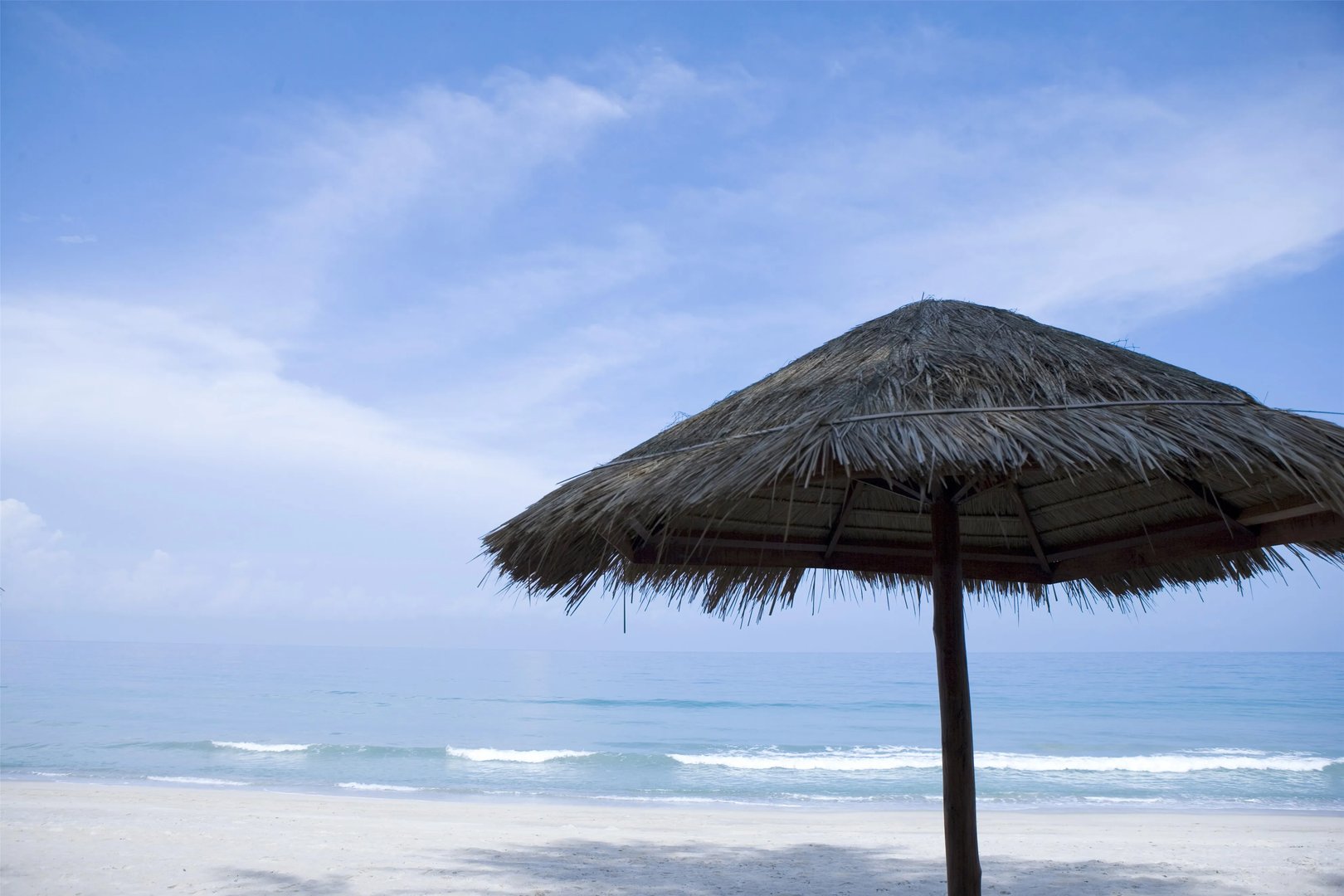 世卫组织首席科学家：中国疫苗已被证明有效！