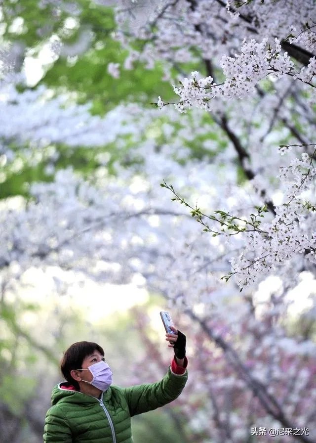 如何看待四川西昌突发森林火灾？是否存在人为的可能性呢？