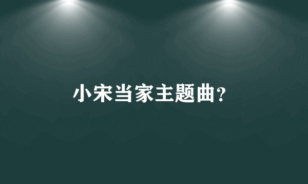 小宋当家主题曲？