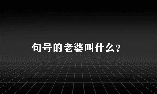 句号的老婆叫什么？