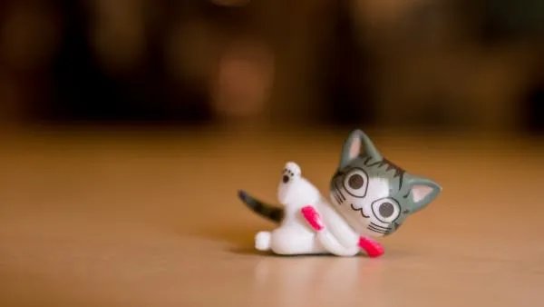 最近很红的漫画 叫什么猫?