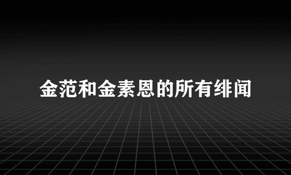 金范和金素恩的所有绯闻