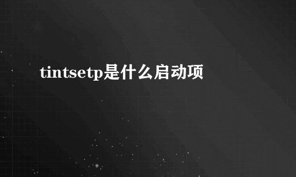 tintsetp是什么启动项