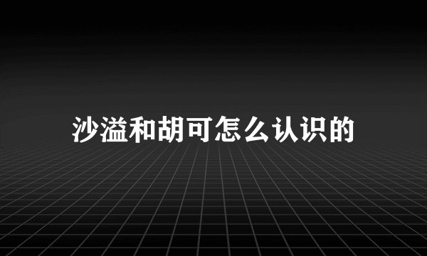 沙溢和胡可怎么认识的