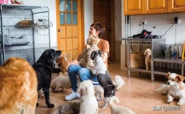 你知道哪些明星，在家养有什么样的宠物呢？