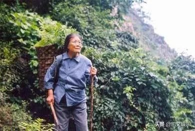 电视剧老娘泪歌曲？