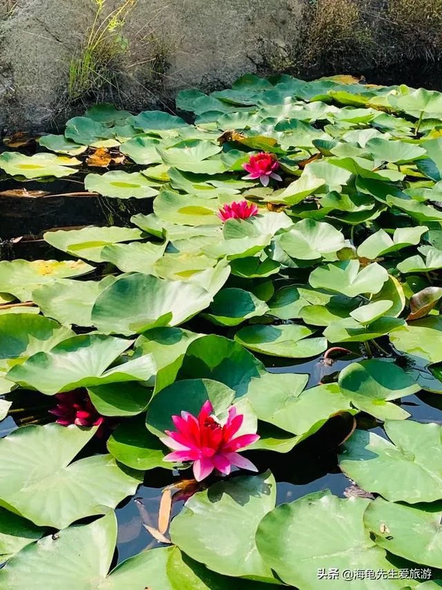 国庆旅游账单出炉，你贡献了多少？