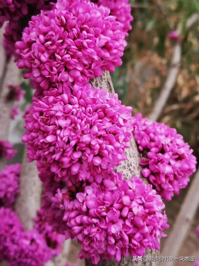 今年五一天津人能跨省旅游吗？