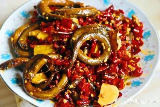 黄鳝头到底能不能吃？为什么？