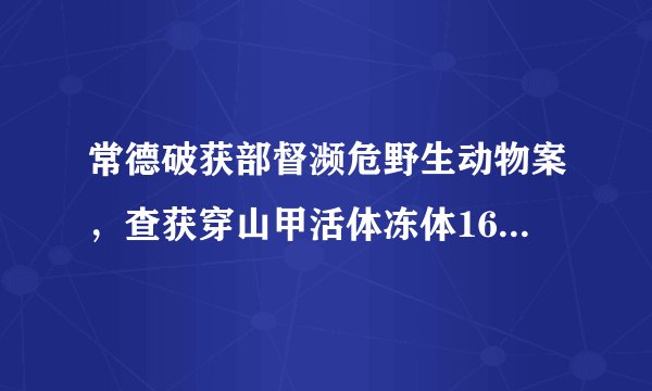 常德破获部督濒危野生动物案，查获穿山甲活体冻体160余只, 你怎么看？