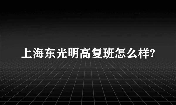 上海东光明高复班怎么样?