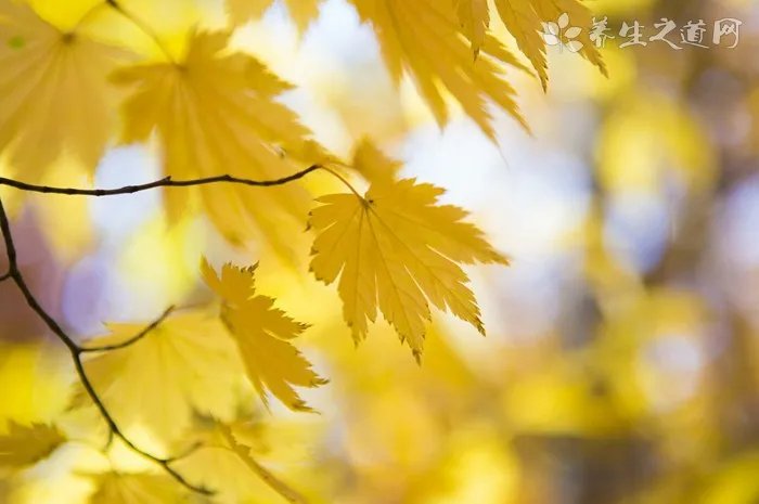 乐敦史莱姆眼药水怎么样?乐敦史莱姆眼药水多少钱