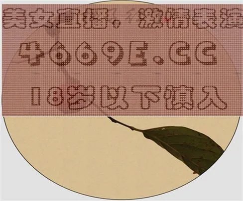 奇秀广告几个女主播一起热舞时播放的DJ音乐叫什么名字