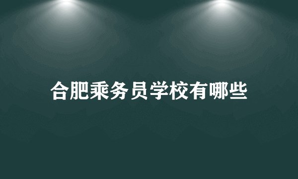 合肥乘务员学校有哪些