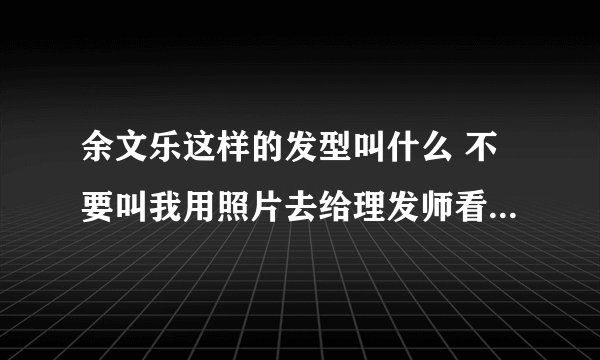 余文乐这样的发型叫什么 不要叫我用照片去给理发师看 我要的是这种发型的名字..越详细越好！好的加分。