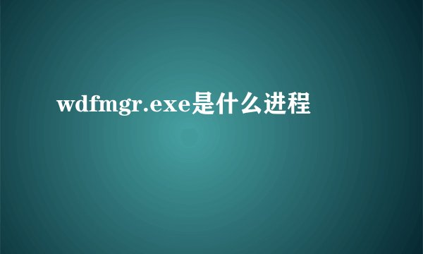 wdfmgr.exe是什么进程