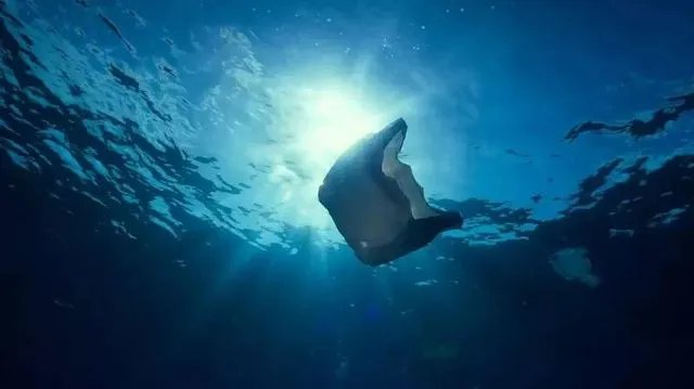 你扔的每一个塑料袋，都会回到你的餐桌上