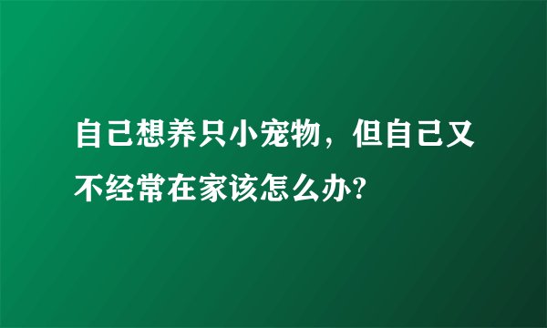 自己想养只小宠物，但自己又不经常在家该怎么办?