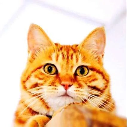 芜湖，三山区人才市场在什么地方啊？