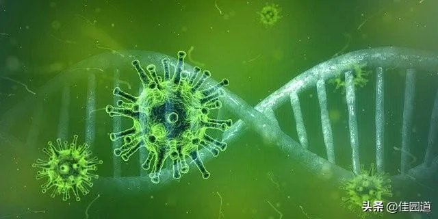 中国疫情第四代传染率甚低，为何意大利这么厉害属于几代？