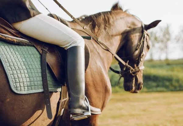 奥运会上男女选手同场竞技的唯一项目是