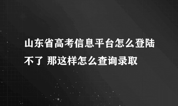 山东省高考信息平台怎么登陆不了 那这样怎么查询录取