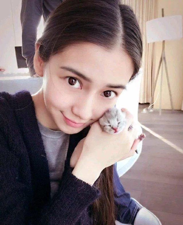 你知道哪些明星，在家养有什么样的宠物呢？