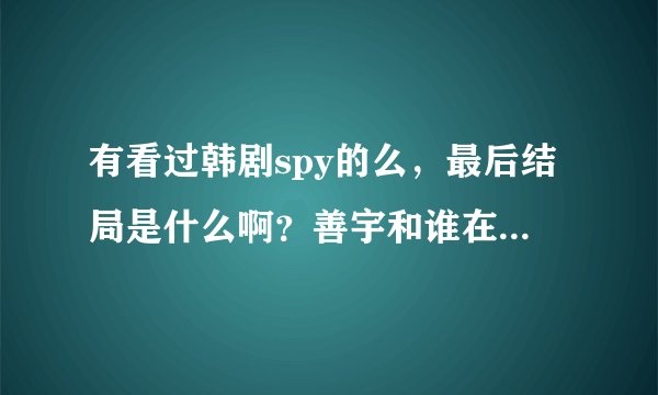 有看过韩剧spy的么，最后结局是什么啊？善宇和谁在一起了？