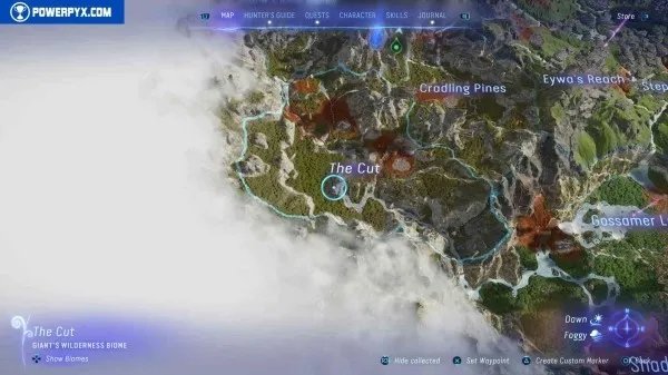 《阿凡达潘多拉边境》塔休幼苗位置汇总 塔休幼苗收集攻略