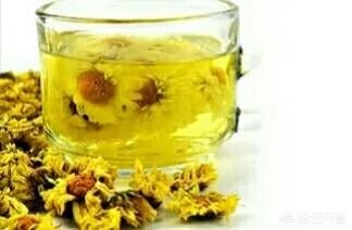 贡菊是白菊花吗？