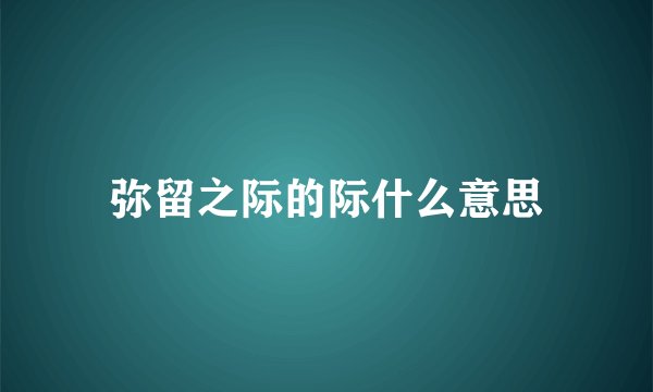 弥留之际的际什么意思